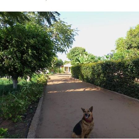 ホテル Ancha'S Oasis マプト エクステリア 写真