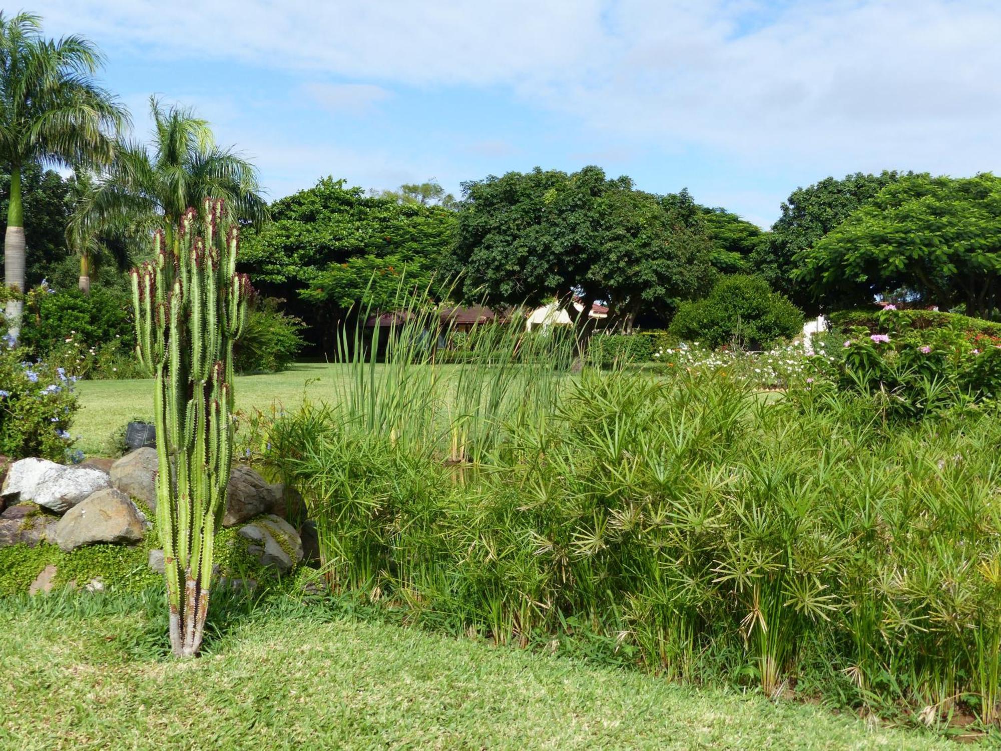 ホテル Ancha'S Oasis マプト エクステリア 写真
